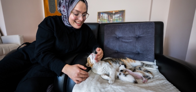 CAMİYE SIĞINAN ANNE KEDİ VE YAVRULARI BÜYÜKŞEHİR SAYESİNDE YENİ YUVASINDA...