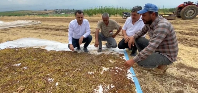 CHP’Lİ BAŞEVİRGEN’DEN TMO’YA: “KURU ÜZÜM ALIM FİYATINI AÇIKLA...”