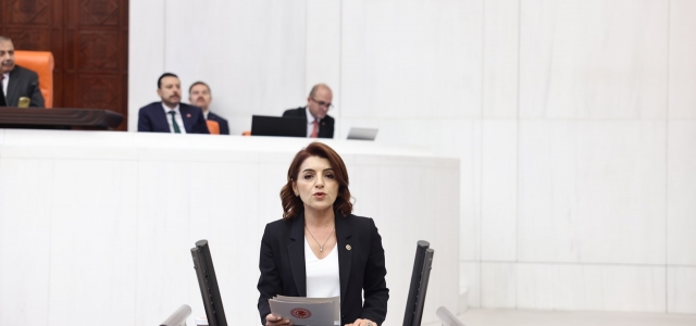 CHP’li Gülcan Kış: “MEB’de Krizler Bitmiyor!“