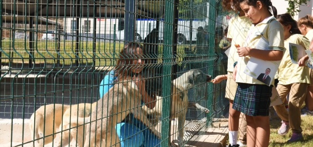 Çocuklar Yenişehir Belediyesinin hayvan bakımevini gezdi...