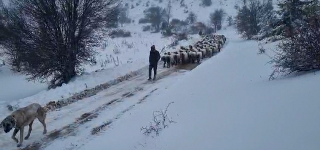 MERSİN BÜYÜKŞEHİR ÇOBANLARI VE HAYVANLARINI DONMAKTAN KURTARDI...