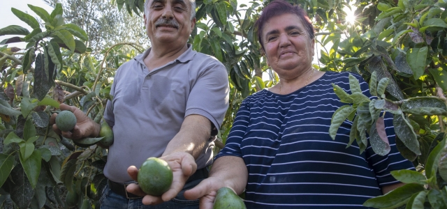 MERSİN BÜYÜKŞEHİR’DEN ÜRETİCİLERE FİDE VE FİDAN DESTEĞİ...