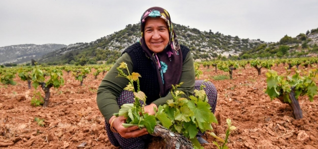 MERSİN BÜYÜKŞEHİR’İN YÖNLENDİRMESİYLE BİNLERCE KADIN ÜRETİME KATILDI...