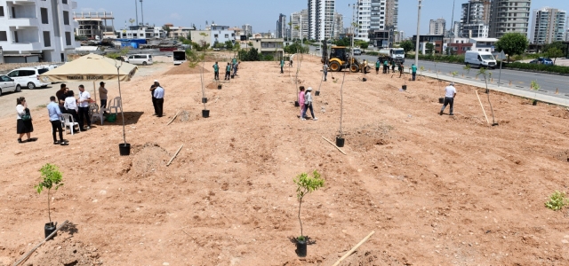 Yenişehir Belediyesi ağaçlandırma çalışmalarını sürdürüyor...